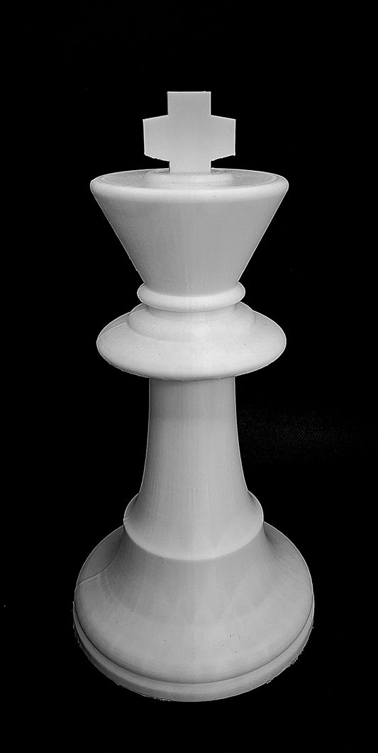 Pion Echec Roi